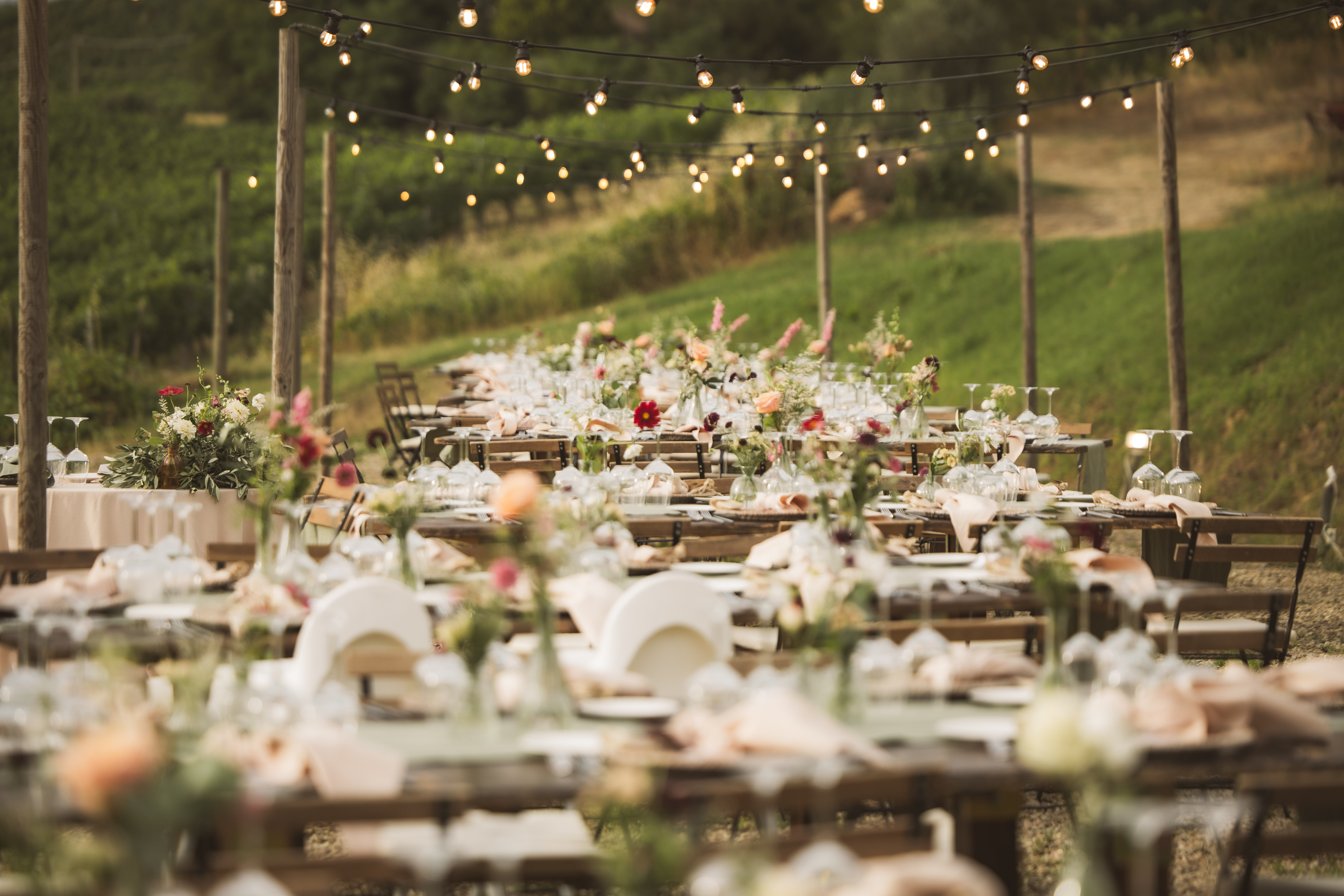 Vineyard wedding image 14