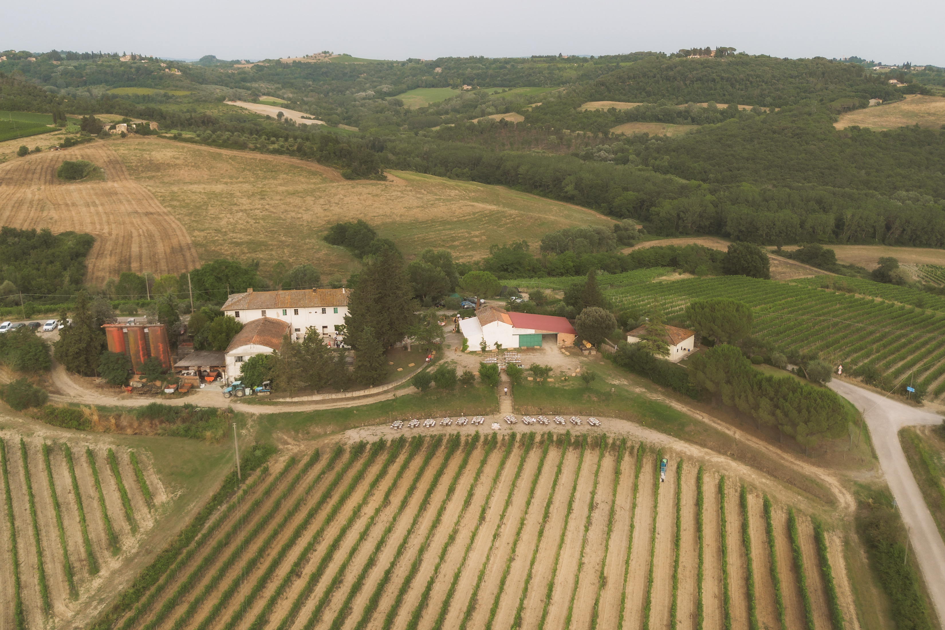 Vineyard wedding image 5